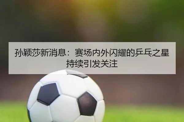 sun-ying-sha-xin-xiao-xi-sai-chang-nei-wai-shan-yao-de-ping-pang-zhi-xing-chi-xu-yin-fa-guan-zhu-2-303.jpg