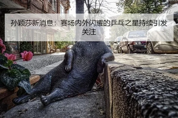 孙颖莎新消息：赛场内外闪耀的乒乓之星持续引发关注